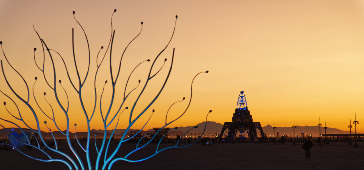 Burning Man 2019   1044